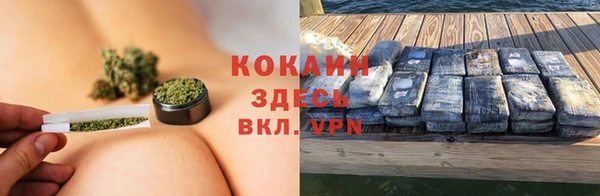 дмт Арсеньев