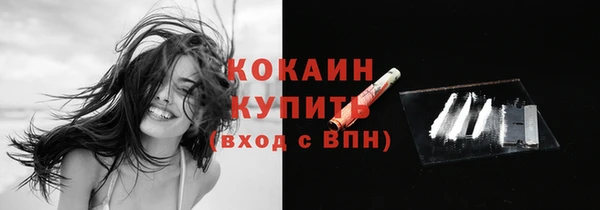 дмт Арсеньев