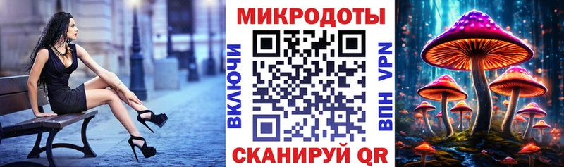 Псилоцибиновые грибы Psilocybine cubensis  Учалы 